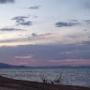 Meet your Posher, Heidi